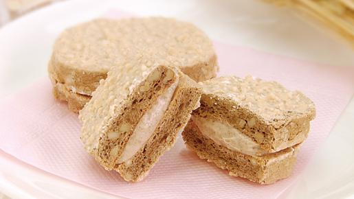 <Web割対象商品>【キングツアーバス旅】色とりどりの花名所♪ゆっくり2時間滞在!あしかがフラワーパークふじのはな物語〔吉祥寺・新宿発〕3